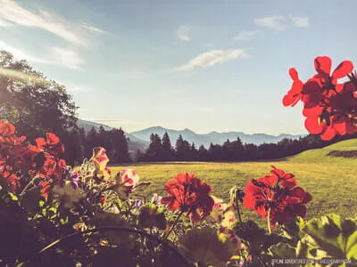 Der Rahmhof Bild 12